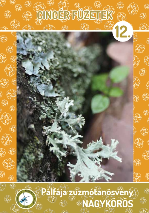 Lichen